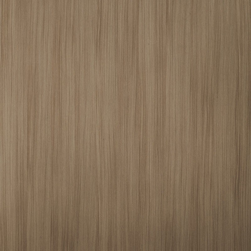 7161 橄榄红豆杉-F